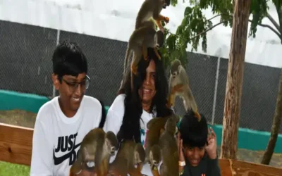 Family Fun in Puerto Plata: Meeting Monkeys and Tropical Adventures
