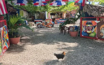 Beyond the Beach: A Cultural Journey through City and Countryside
