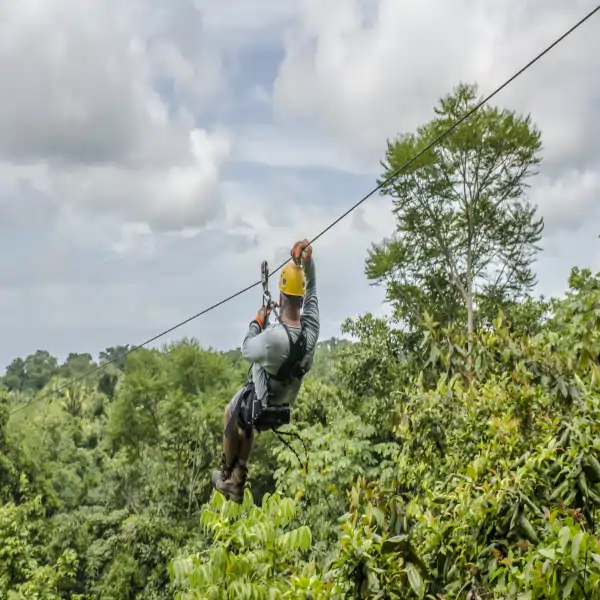 Zipline Tours
