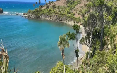 How to Plan the Perfect Private Beach Day in the Dominican Republic