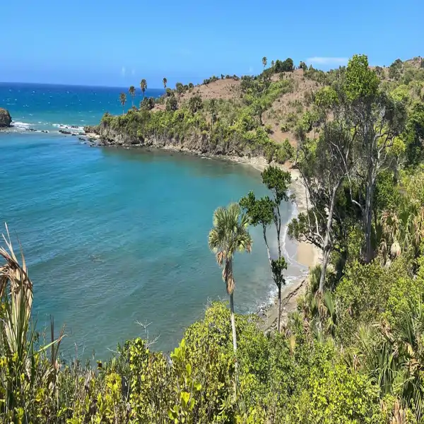 How to Plan the Perfect Private Beach Day in the Dominican Republic