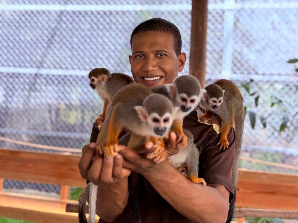 Puerto Plata City Tour & Monkey Home Combo 8