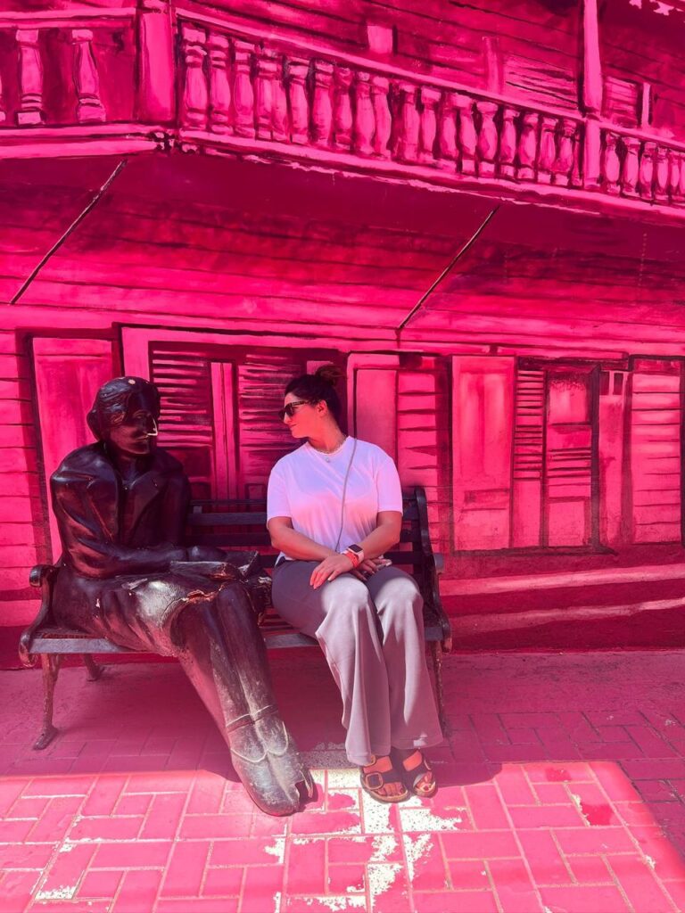 City tours +buggy 19