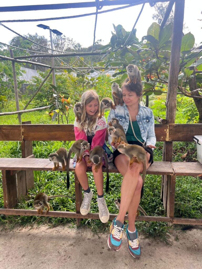 Monkey Home Adventure 6