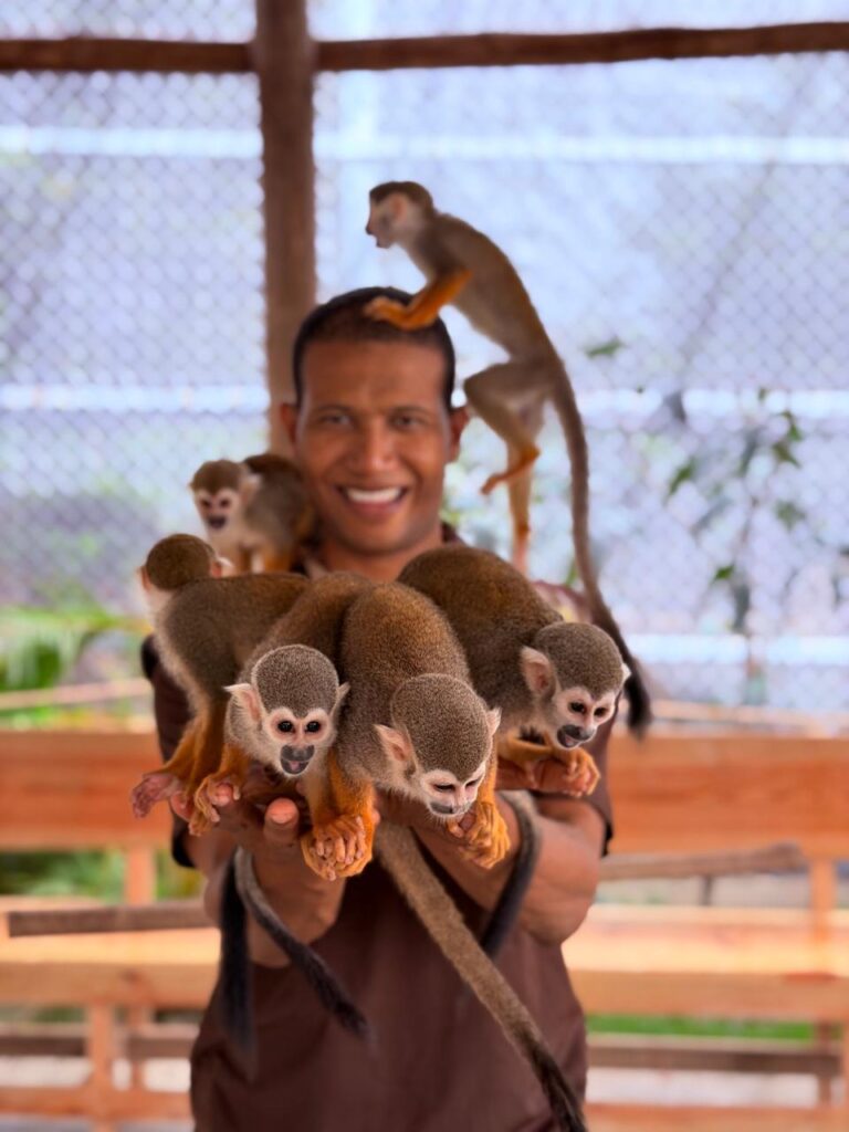 Puerto Plata City Tour & Monkey Home Combo 9