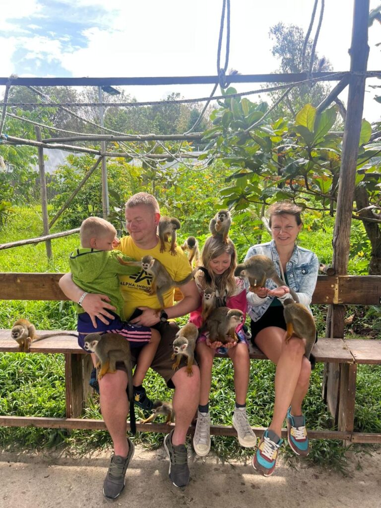 Monkey Home Adventure 7