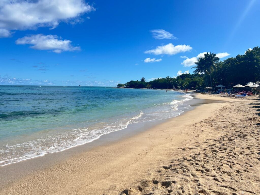 Sosua Beach Paradise & Snorkeling – Private Tour (Amber Cove & Taino Bay) 2