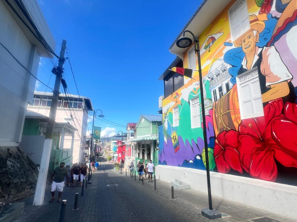 Puerto Plata Triple Adventure: Buggy, Monkeys & City Tour 13