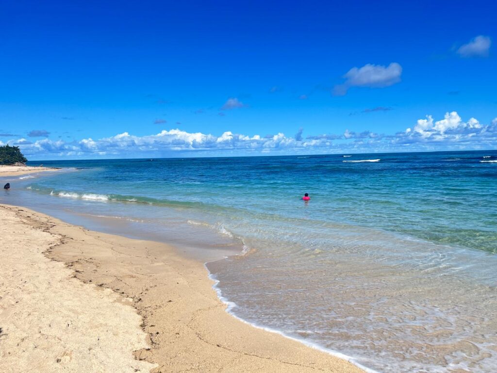 Private Tour to the Beaches of Your Choice (Playa dorada,Cosita Rica, Costambar & Cofresi) – Amber Cove & Taino Bay 1