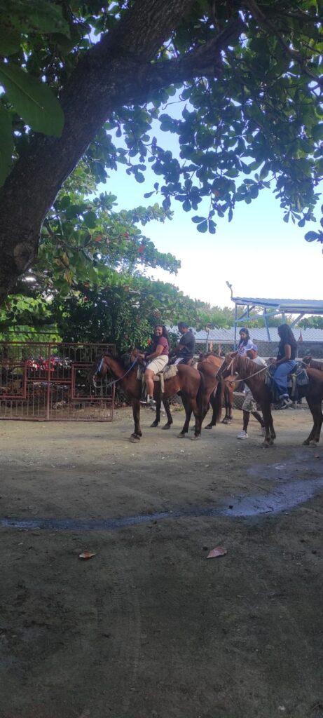 Hoseback Riding Excursion 4
