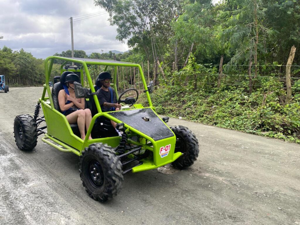 City tours +buggy 6