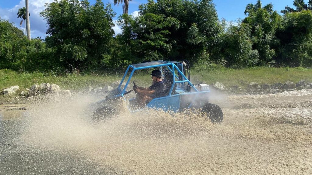 City tours +buggy 11