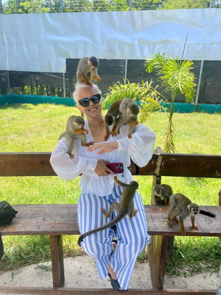 Puerto Plata City Tour & Monkey Home Combo 26
