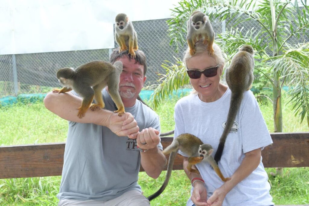 12 Waterfalls & Monkey Home – Puerto Plata Adventure 6